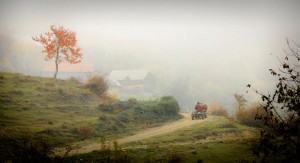Entering autumn colors Foto: Vlad Iosif